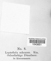 Image Associated With the Occurence
